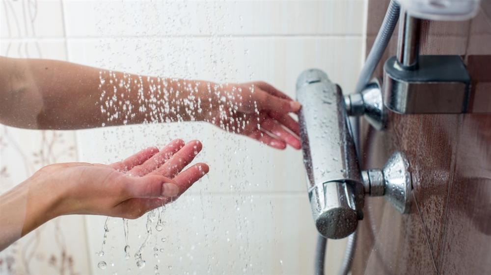 handheld shower